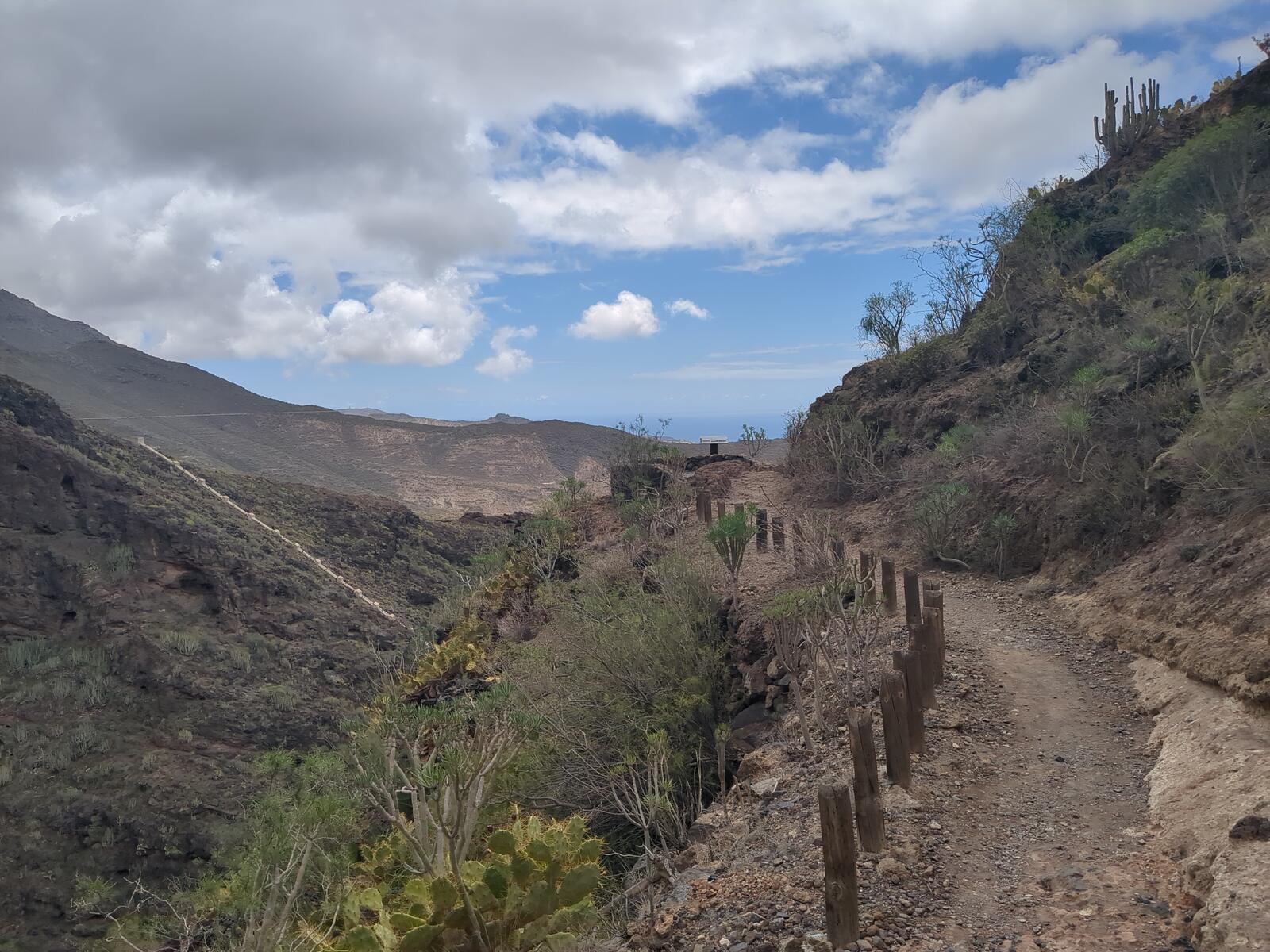 Wanderweg durch eine Schlucht mit Kakteen auf Teneriffa, im Hintergrund das Meer